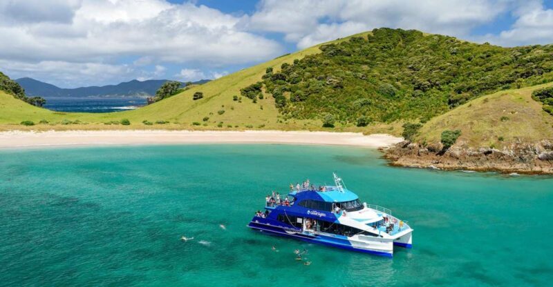 From Paihia: Day in the Bay - Full-Day Bay of Islands Cruise - Key Points