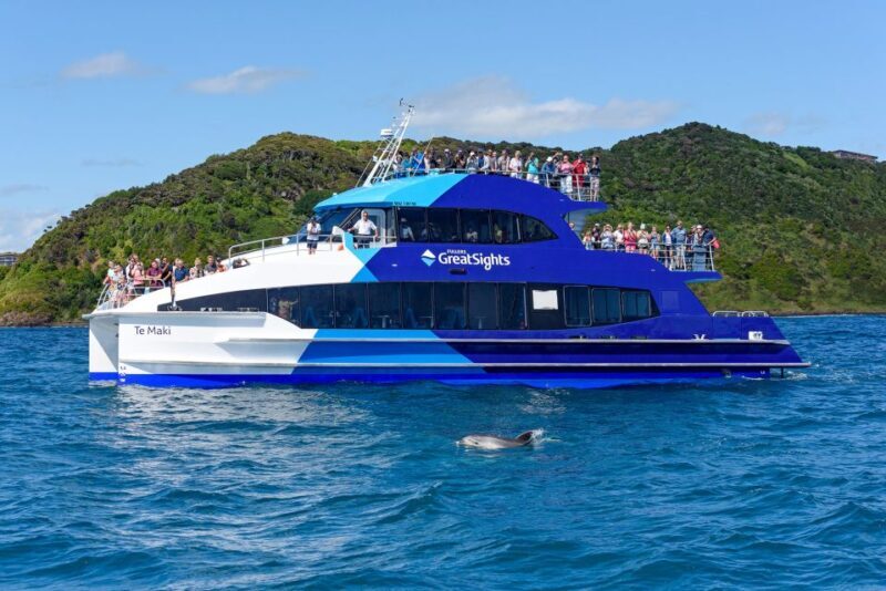From Paihia: Day in the Bay - Full-Day Bay of Islands Cruise - Practical Details: What to Expect