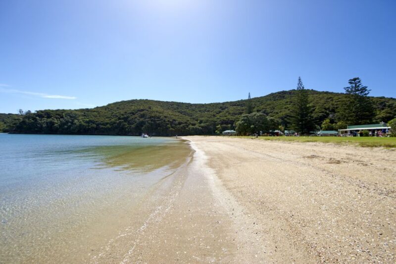 From Paihia: Day in the Bay - Full-Day Bay of Islands Cruise - What Do Reviewers Say?