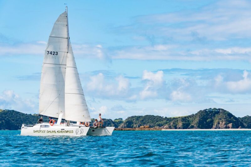 From Paihia: Island-Hopper Sailing Cruise with Picnic Lunch - The Sum Up