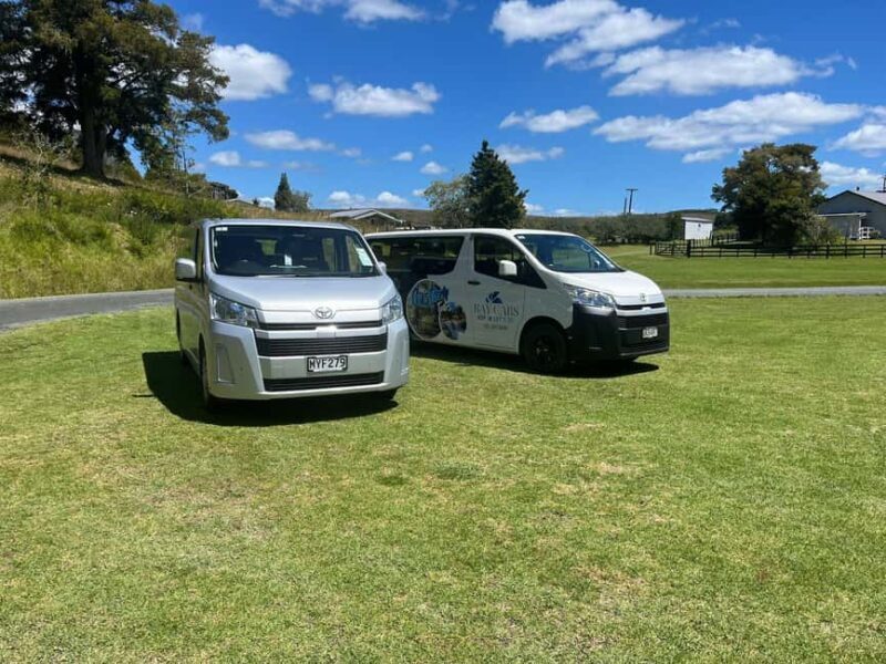 From Paihia: Kawiti Glowworm Caves Guided Tour - Introduction to the Kawiti Glowworm Caves Guided Tour