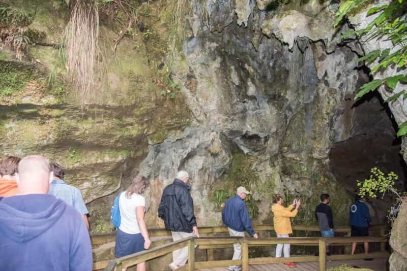 From Paihia: Kawiti Glowworm Caves Guided Tour - The Cultural and Natural Significance