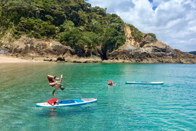 From Paihia: Scenic Cruise with Roberton Island Stopover - The Itinerary and Highlights