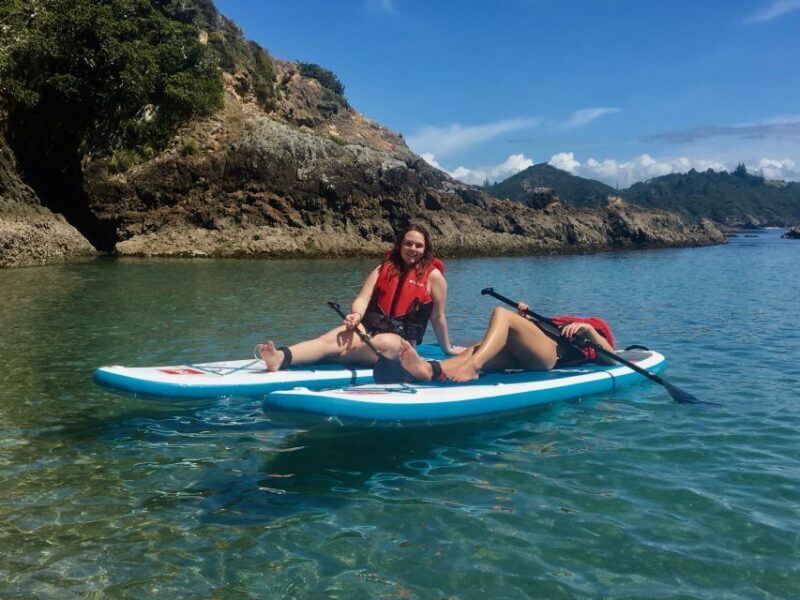 From Paihia: Scenic Cruise with Roberton Island Stopover - Comfort and Group Size