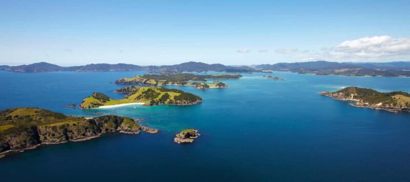 From Paihia: Scenic Cruise with Roberton Island Stopover - Weather Considerations
