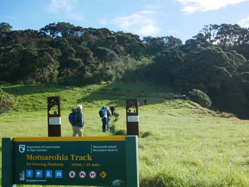 From Paihia: Scenic Cruise with Roberton Island Stopover - Reviews: What Travelers Say