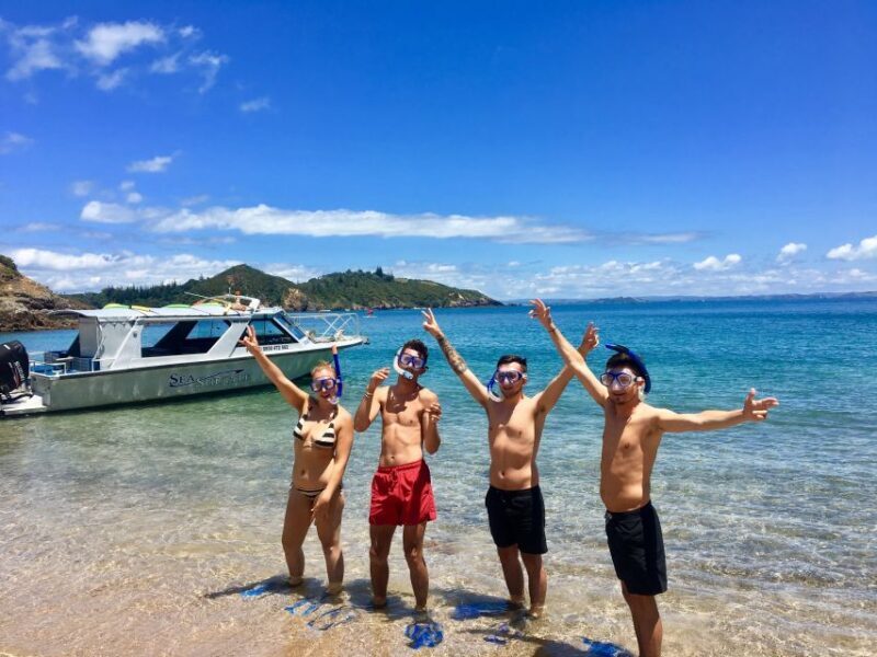 From Paihia: Scenic Cruise with Roberton Island Stopover - Practical Tips