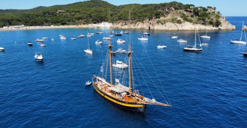 from-palamos-scenic-boat-trip-to-calella-de-palafrugell