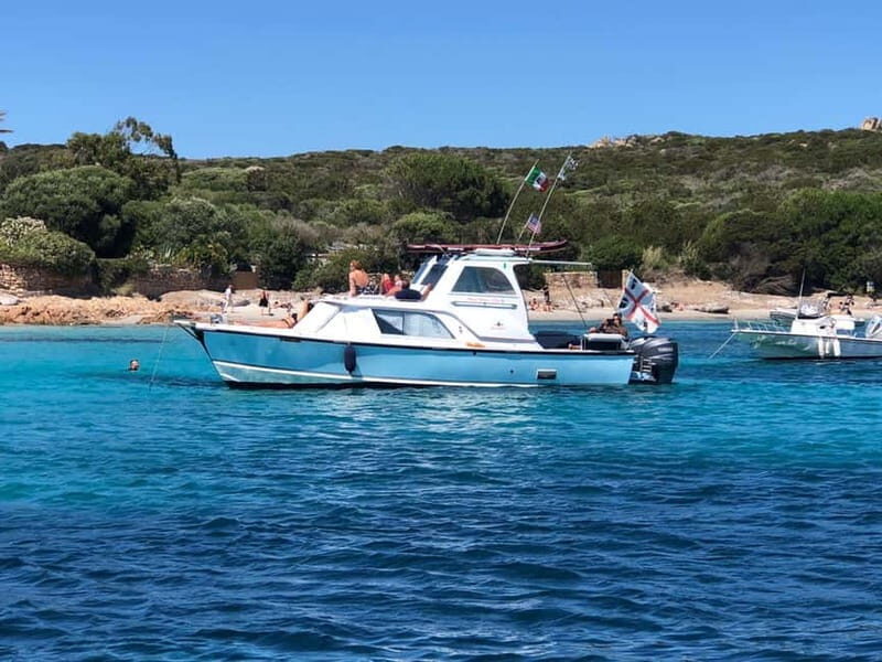 From Palau: boat trip to La Maddalena Archipelago - Key Points
