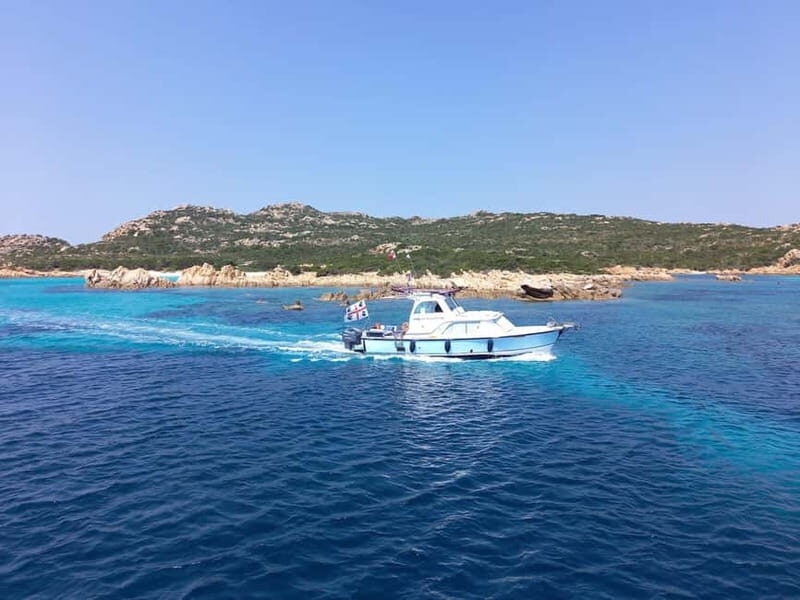 From Palau: boat trip to La Maddalena Archipelago - The Lunch: Authentic Sardinian Flavors on Board