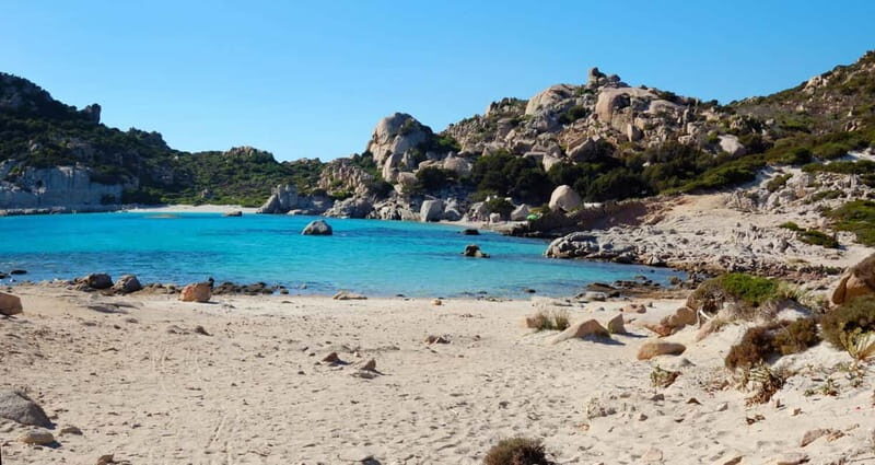 From Palau: La Maddalena Cruise with Lunch & Drinks - Authentic Experiences & Real Guest Insights