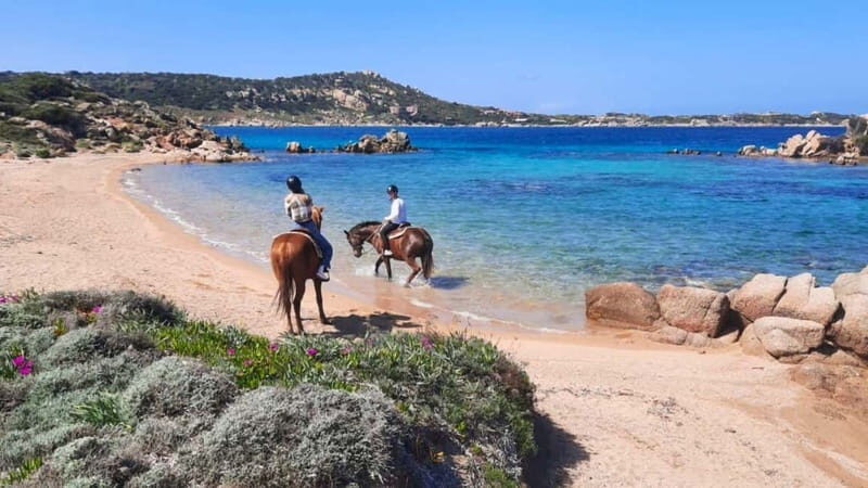 From Palau: minibus tour and horseback ride in La Maddalena - Discover La Maddalena: a Unique Blend of Nature and Charm
