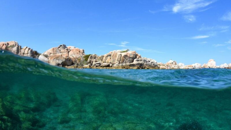 from-palau-south-corsica-trip-by-wood-speedboat-with-lunch