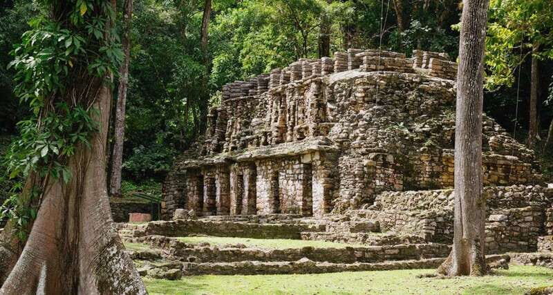 From Palenque: Bonampak & Yaxchilán - Key Points