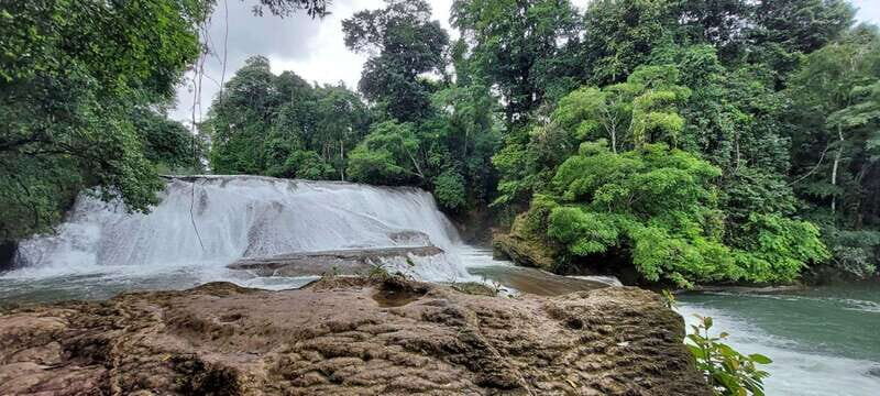 From Palenque: Roberto Barrios and El Salto Waterfalls Tour - Key Points