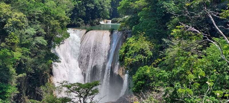 From Palenque: Roberto Barrios and El Salto Waterfalls Tour - Journey into Chiapas’ Waterfalls: What to Expect