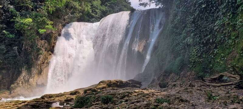 From Palenque: Roberto Barrios and El Salto Waterfalls Tour - Who Should Book This Tour?