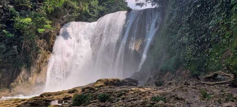 From Palenque: Roberto Barrios and El Salto Waterfalls Tour - Final Thoughts