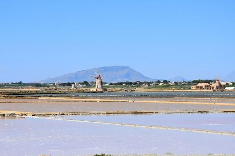 from-palermo-erice-marsala-salt-olive-oil-and-wine-tour