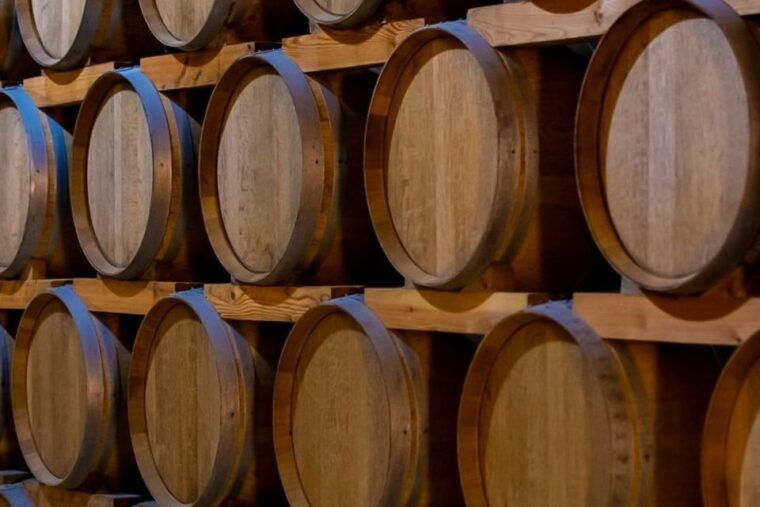 from-palermo-erice-marsala-salt-olive-oil-and-wine-tour