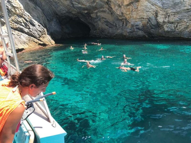 from-palma-afternoon-dolphin-watching-boat-tour
