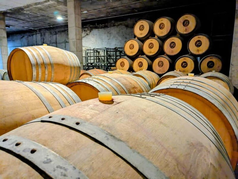 From Palma de Mallorca: Private Wine and Local Flavors Tour - Overview of the Experience