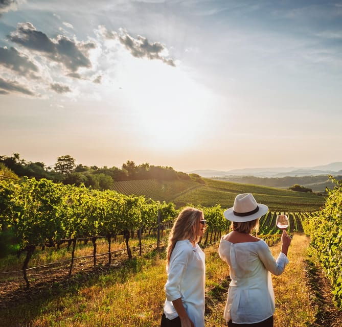 from-palma-de-mallorca-private-wine-and-local-flavors-tour