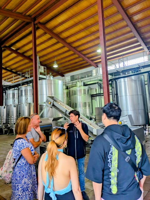 from-palma-de-mallorca-private-wine-and-local-flavors-tour