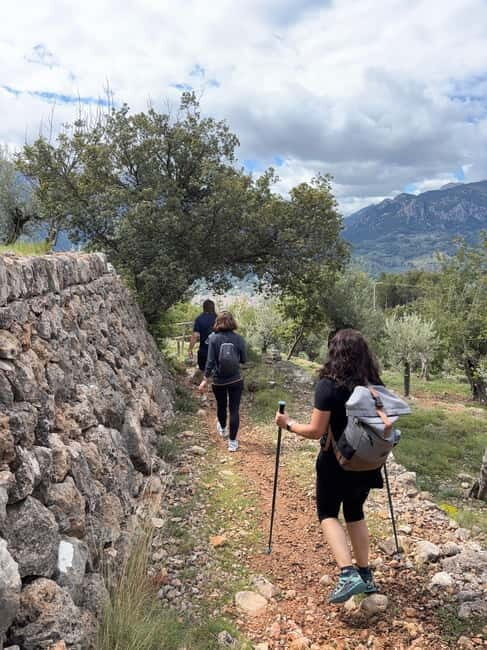 From Palma: Sierra de Tramuntana Hiking with small Picnic - An In-Depth Look at What You Can Expect