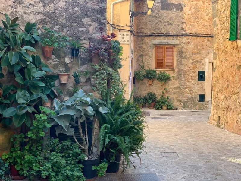 From Palma: Valldemossa Tour and Mountain Viewpoint Hike - From Palma: Valldemossa Tour and Mountain Viewpoint Hike – A Detailed Review