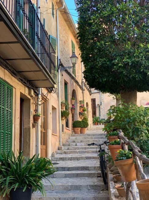 From Palma: Valldemossa Tour and Mountain Viewpoint Hike - What Makes This Tour Valuable?