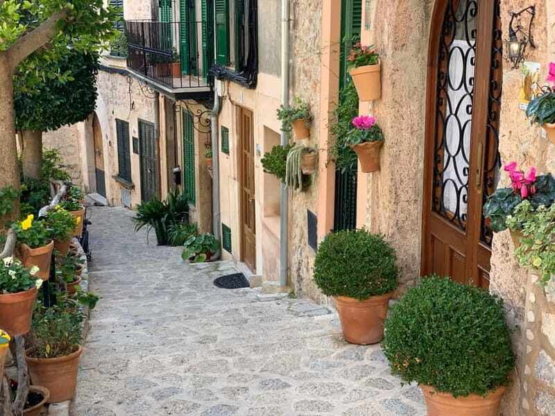 From Palma: Valldemossa Tour and Mountain Viewpoint Hike - Final Thoughts
