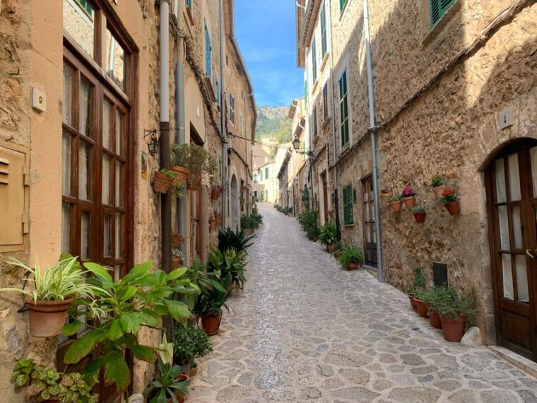 from-palma-valldemossa-tour-and-mountain-viewpoint-hike
