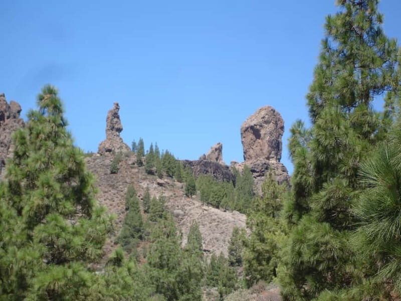 From Palmas: Pico de las Nieves & Roque Nublo Full-Day Trip - Authentic Traveler Insights