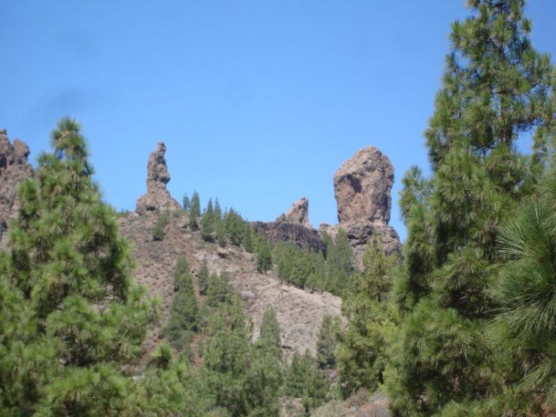 from-palmas-pico-de-las-nieves-roque-nublo-full-day-trip