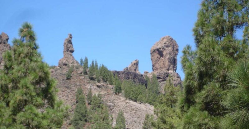 from-palmas-pico-de-las-nieves-roque-nublo-full-day-trip