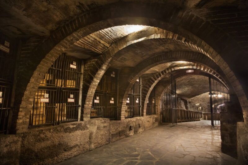 from-pamplona-or-logrono-rioja-wineries-day-trip-w-tasting