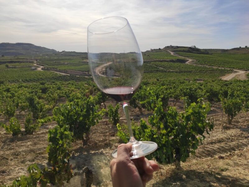 from-pamplona-or-logrono-rioja-wineries-day-trip-w-tasting
