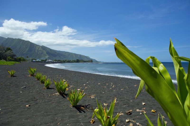 From Papeete: Tahiti Highlights Full-Day Private Tour - An In-Depth Look at the Tahiti Highlights Private Tour