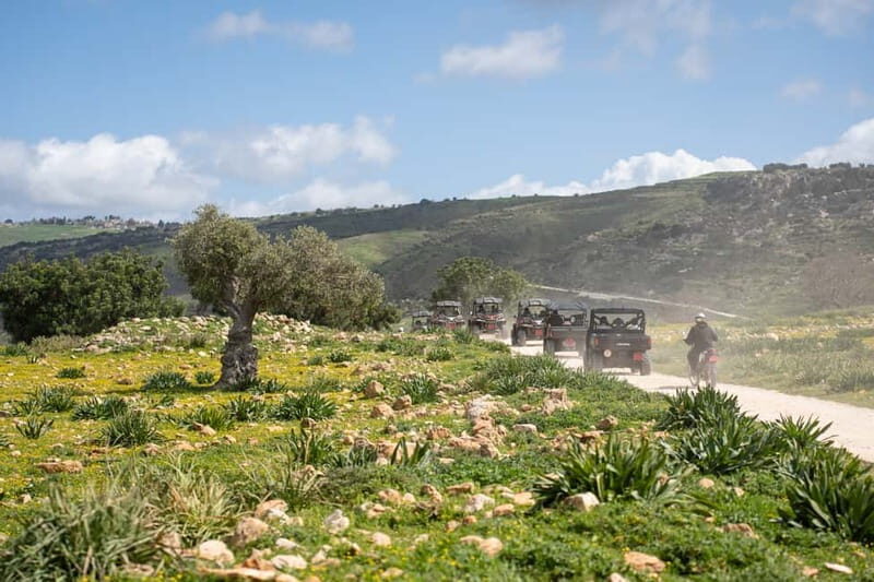 From Paphos: Coral Bay and Adonis Baths Guided Buggy Tour - Final Thoughts