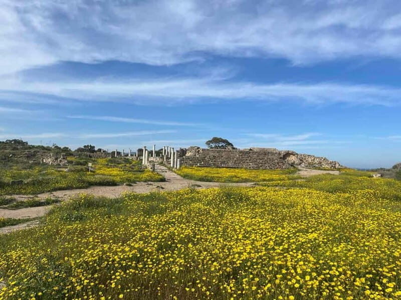 From Paphos: Famagusta, Salamis, and Varosha Walking Tour - Transportation and Practical Tips