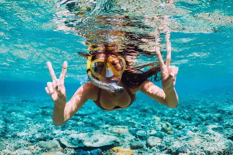 FROM PAPHOS: Snorkeling at the Marine Park (shore) - Key Points