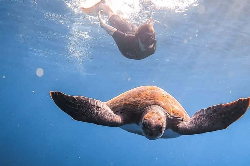 FROM PAPHOS: Snorkeling at the Marine Park (shore) - The Experience for Different Travelers