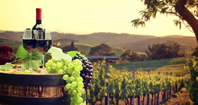 From Paphos: Taste of Cyprus (Private) - Key Points