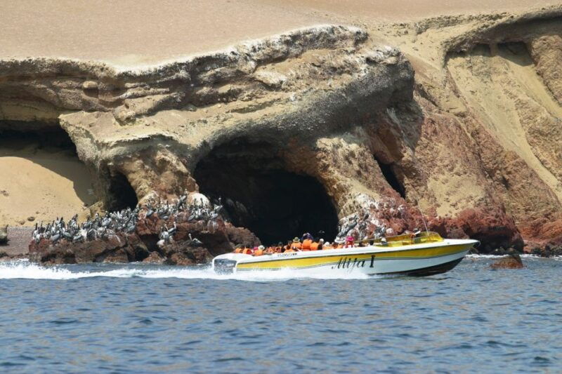 from-paracas-ballestas-island-boat-tour-with-entrances