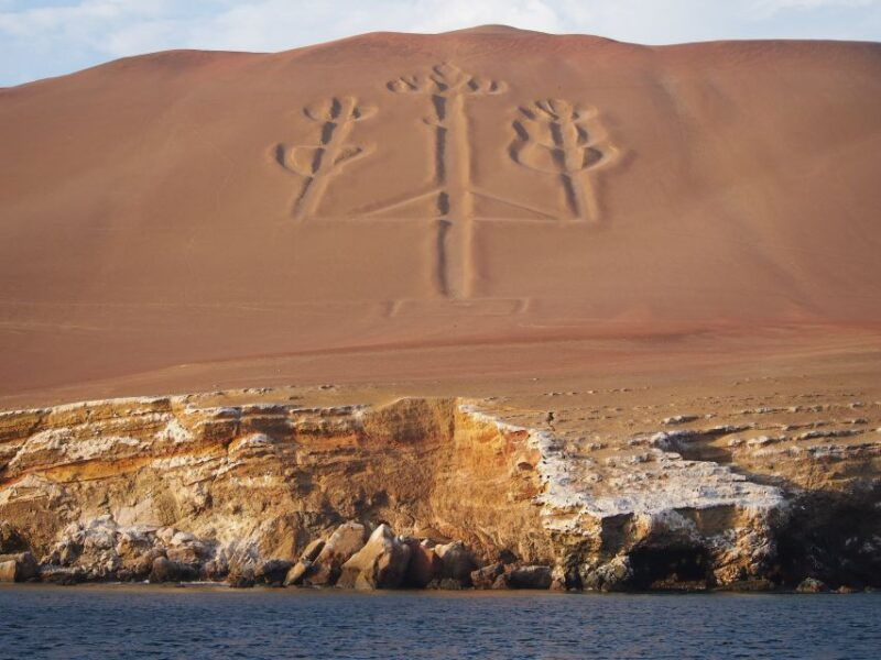 from-paracas-ballestas-island-boat-tour-with-entrances