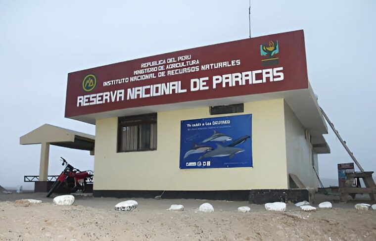 from-paracas-ballestas-islands-and-paracas-national-reserve-3