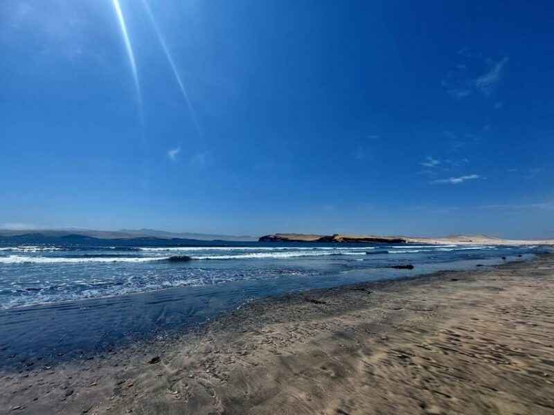 from-paracas-ballestas-islands-and-paracas-national-reserve