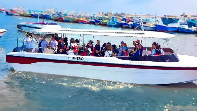 from-paracas-ballestas-islands-guided-boat-tour