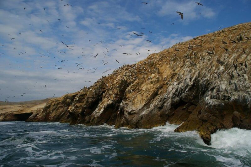 from-paracas-ballestas-islands-paracas-national-reserve